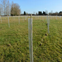 Westcott Give Wildlife a Helping Hand